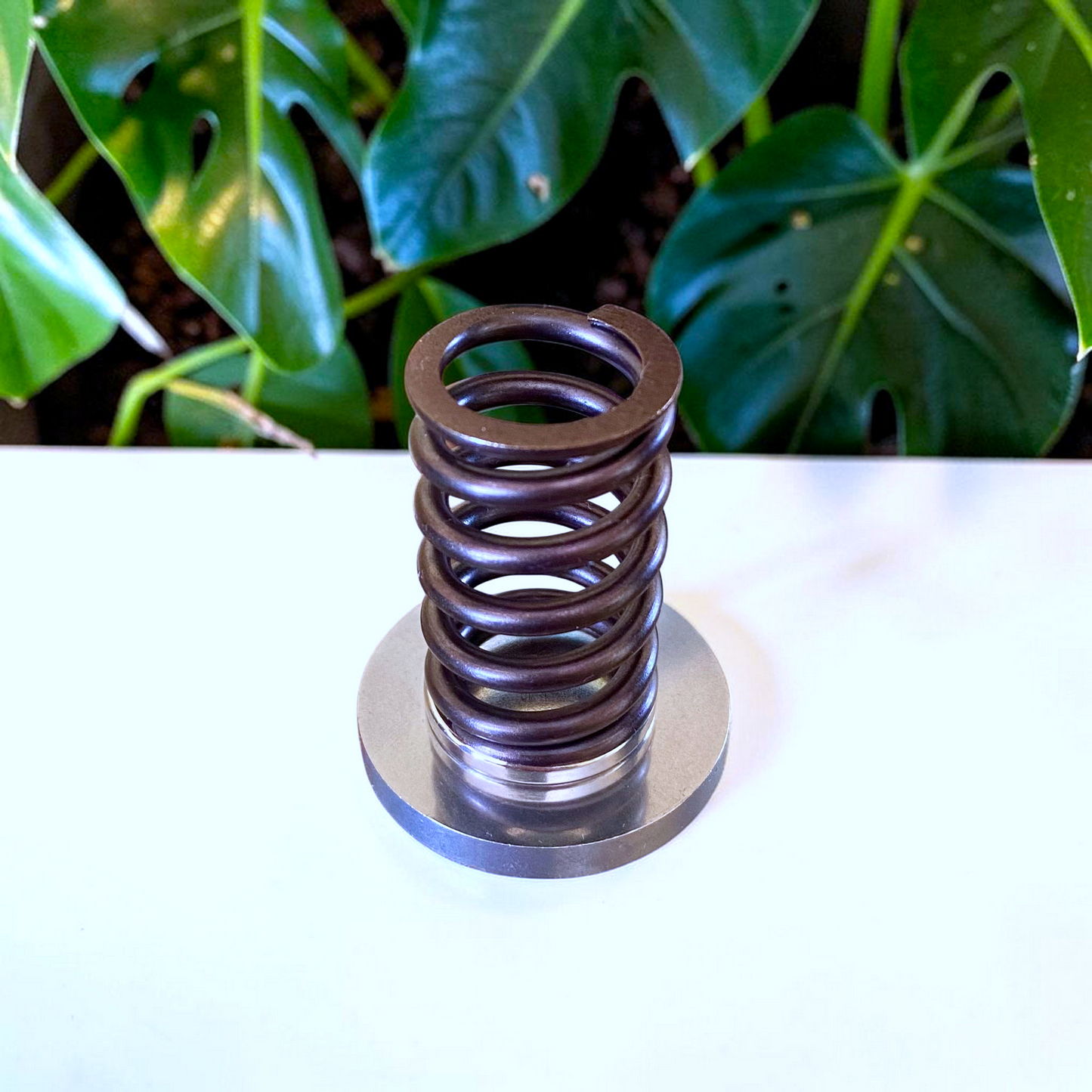 Valve Spring Pen Holder
