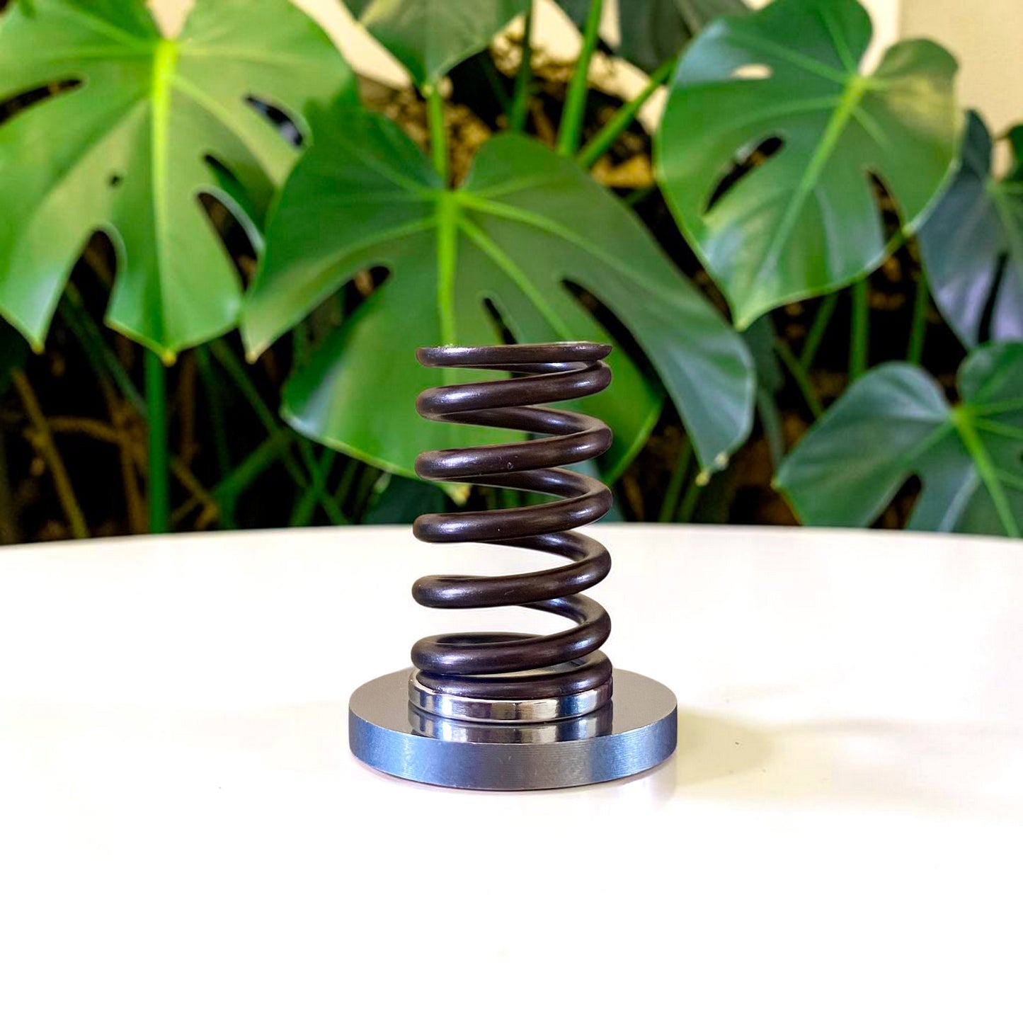Valve Spring Pen Holder